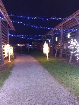 December 2023 v vrtcu Deteljica (9)